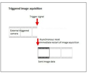 image showing triggered image acquisition as part of Trigger and Machine Vision Cameras India